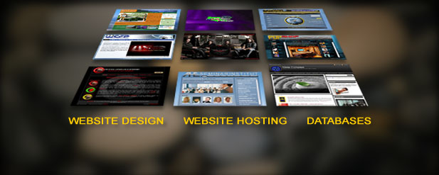 WEB SERVICES - website design, web hosting, database design